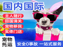 珠海机场邮寄国际宠物托运 【国